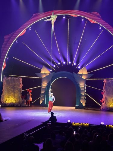 Cirkus
